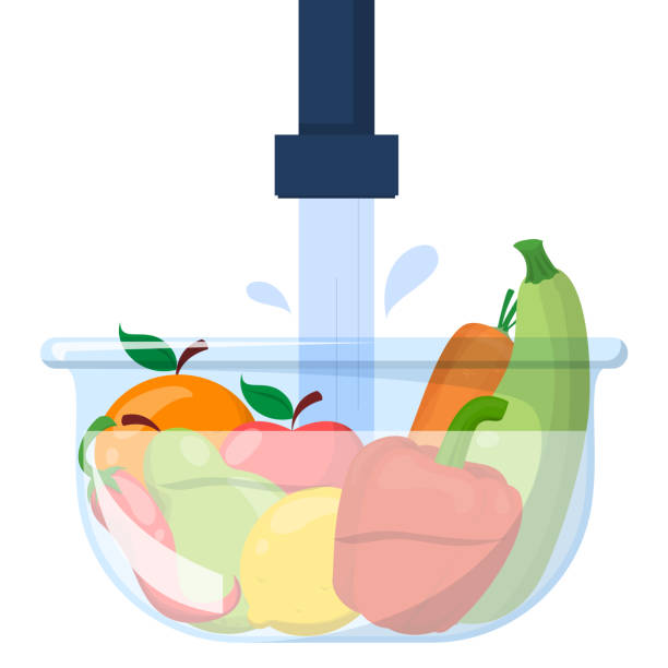 ilustraciones, imágenes clip art, dibujos animados e iconos de stock de verduras y frutas en un tazón bajo el agua - food hygiene