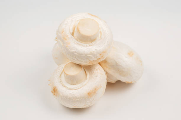 istock Champignon mushroom isolated on white background. 1216557969