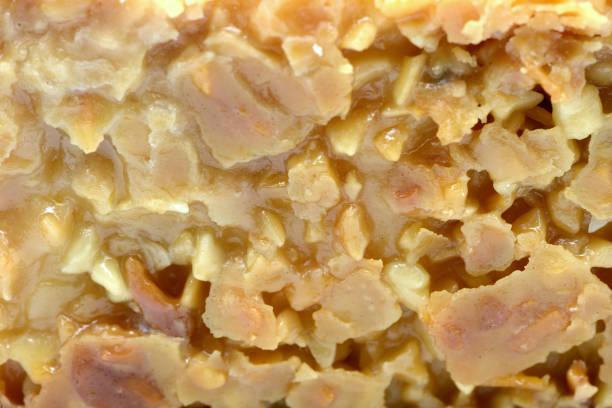 close-up of Bee sting cake, in germany known as Bienenstich close-up of Bee sting cake, in germany known as Bienenstich beesting cake stock pictures, royalty-free photos & images