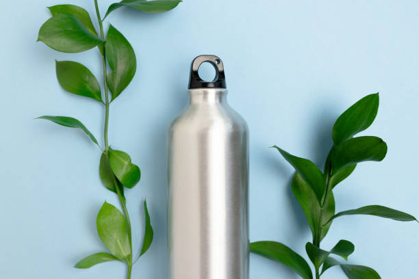 istock Layout of bottle and ruscus branches. Minimalistic zero waste concept on blue background. 1216563701
