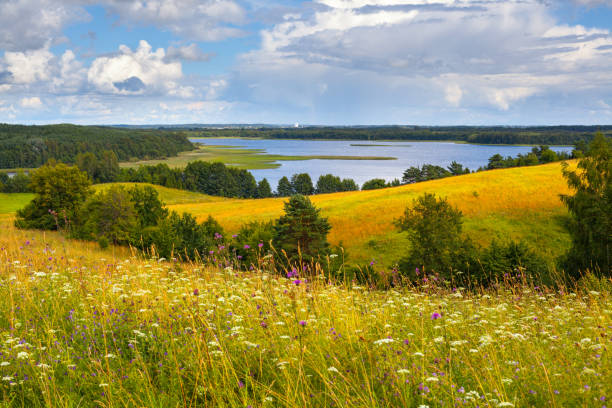 istock National Park Braslau Lakes, Belarus 1216565482