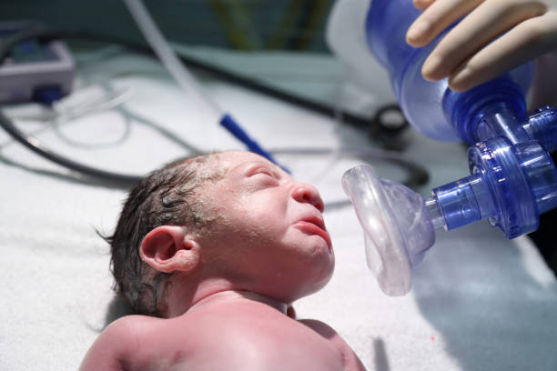 istock Newborn baby in the operating room 1216566906