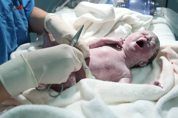 istock Newborn baby in the operating room 1216567068