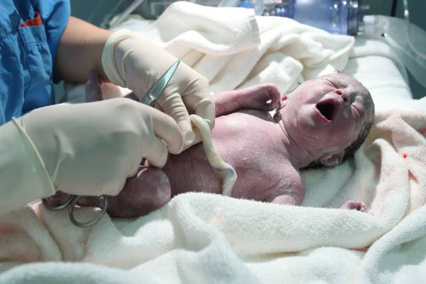 istock Newborn baby in the operating room 1216567109