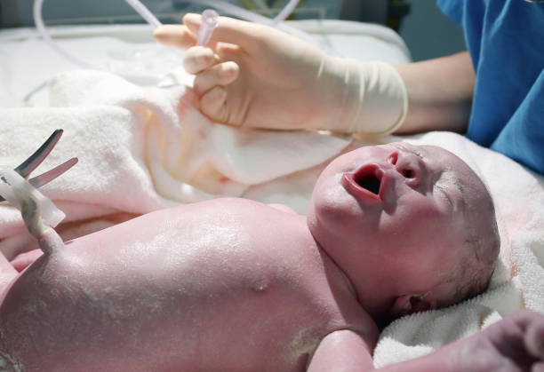 istock Newborn baby in the operating room 1216567277