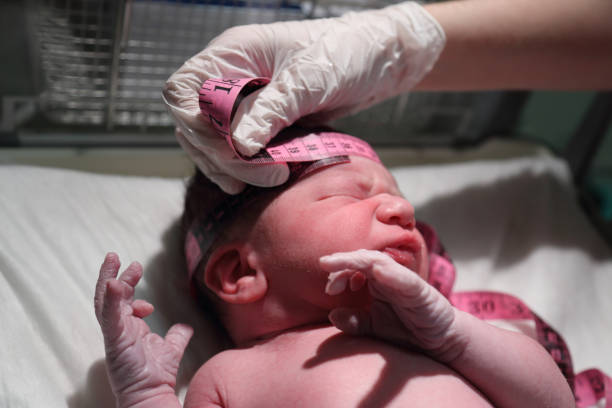 istock Newborn baby in the operating room 1216567314