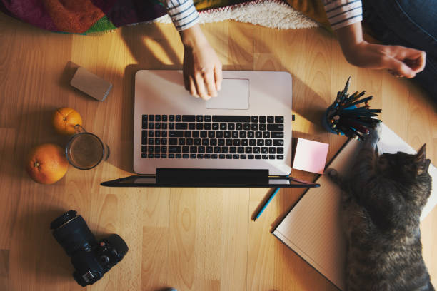 istock friendly workspace - girl working with her cat from home 1216567438