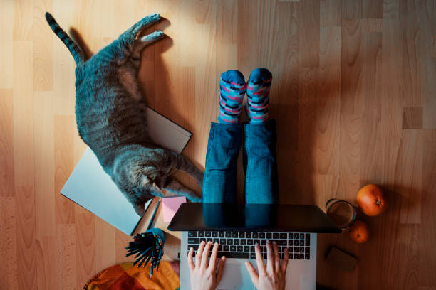 istock friendly workspace - girl working with her cat from home 1216568067