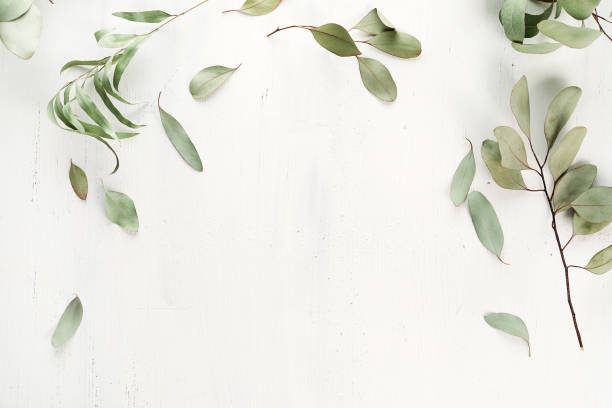 istock Background with leaves and a little branch 1216568679
