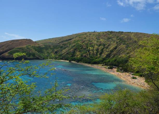 istock Aerial view on Hanauma Bay Oahu Hawaii 1216568819