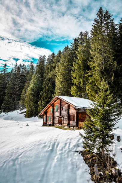 wooden cottage on grindelwald first, suisse - snow european alps house grindelwald photos et images de collection