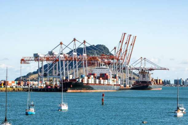 cargo ships docked into tauranga harbour port mount maunganui new zealand - tauranga imagens e fotografias de stock