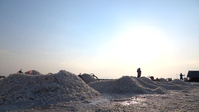 Worker working at saline field at sunset, Slow Motion.
