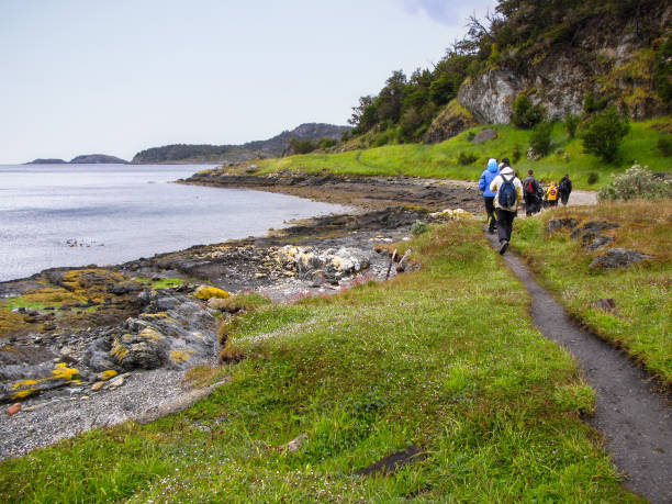 istock Hikink along beautiful coast landscape 1216577634