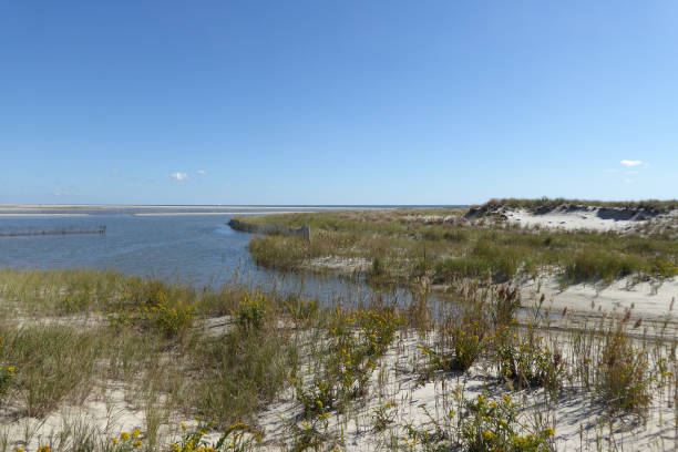istock Jones Beach State Park, Long Island, USA 1216583073