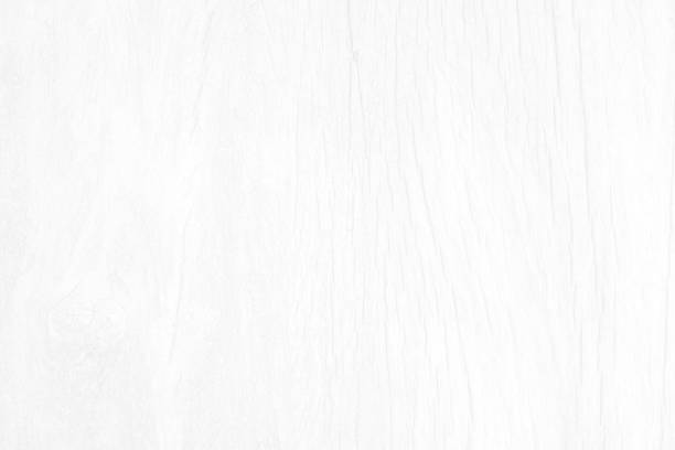 istock Beautiful white background environmental day ideas concept. 1216584968