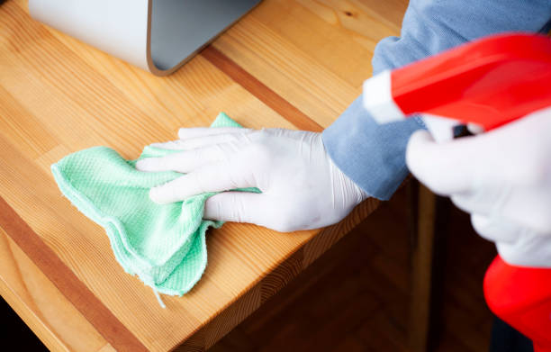 istock individuals who try to take precautions by cleaning against epidemics 1216587429