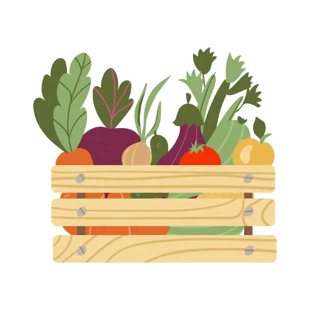 Vector illustration of box with vegetables. Mesh eco bag full of vegetables isolated on white background. Modern shopper with fresh organic food from local market. Vector illustration in flat cartoon style.