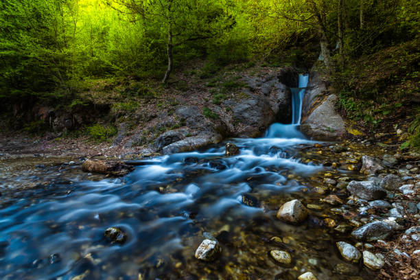 magnífica cascada que fluye en las profundidades del bosque. bursa, turquía. - waterfall river stream mountain fotografías e imágenes de stock