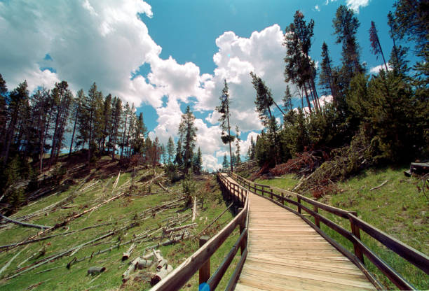Special landscapes made with film camera in USA