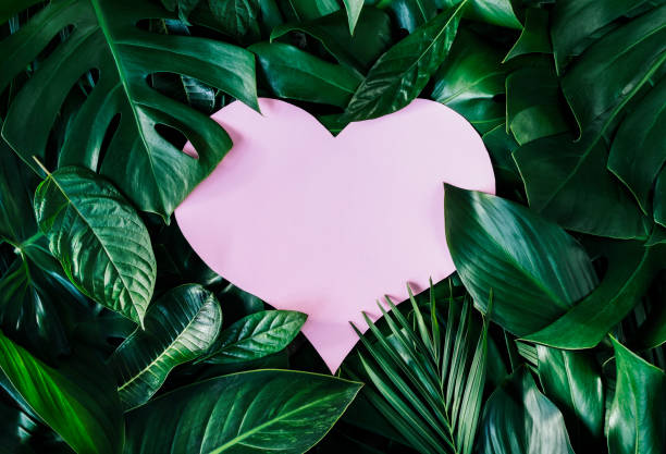 istock green leaves for background and wallpaper 1216595015