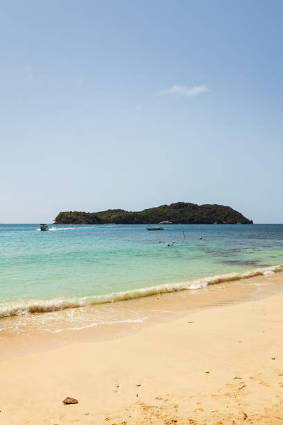istock May Rut In Island, Vietnam 1216596360