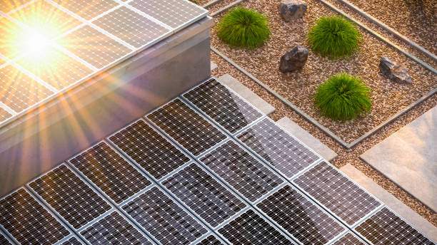 современный дом с солнечными батареями на крыше в пустыне окружающей среды с ладонями 3d визуализации - nevada desert landscape cactus стоковые фото и изображения