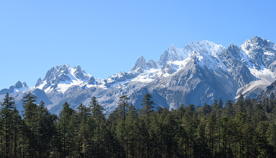 The snow mountain range with pine forest in Lijiang, China