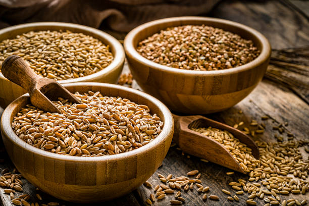 Dietary fiber: high angle view of three bowls filled with wholegrain buckwheat, wheat grains and spelt shot on rustic kitchen table. The composition is at the left of an horizontal frame leaving useful copy space for text and/or logo at the right. Predominant color is brown. XXXL 42Mp studio photo taken with SONY A7rII and Zeiss Batis 40mm F2.0 CF