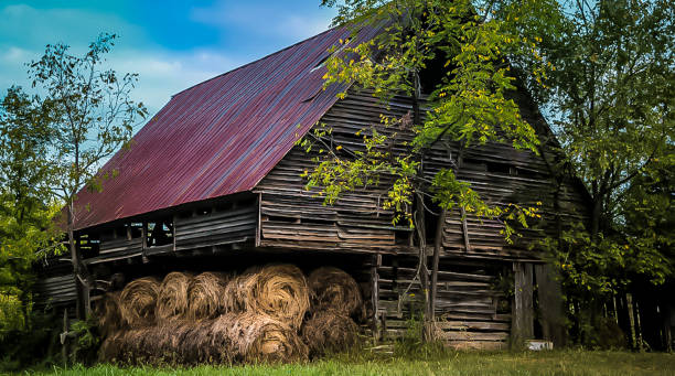istock Vintage Barn in South Carolina 1216598304