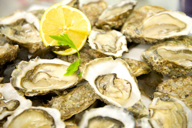 istock French Cuisin Fresh Opene Oysters With Lemon 1216599328