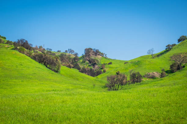 istock Malibu Creek State Park (12) 1216600010