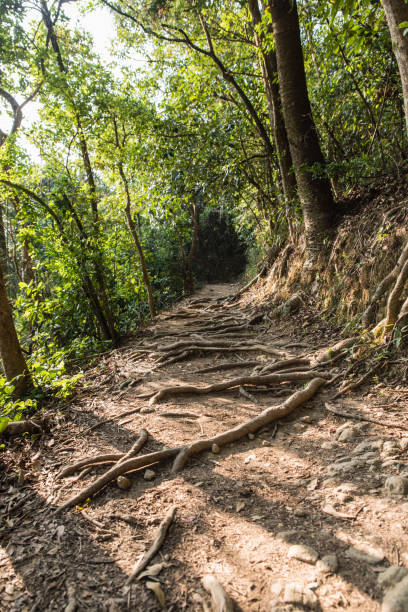 istock Dragon's Back Hiking Trail, Shek O, Hong Kong 1216600923