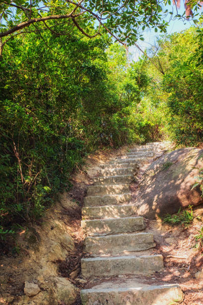 istock Dragon's Back Hiking Trail, Shek O, Hong Kong 1216600990