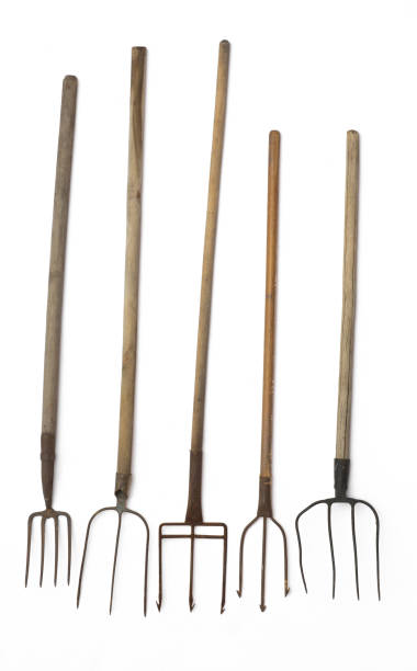 istock set of old pitchfork isolated on white background 1216601265