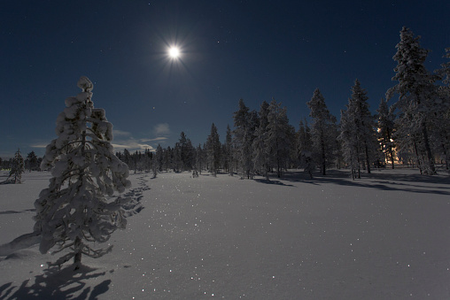 A night landscape in Lapland during winter night