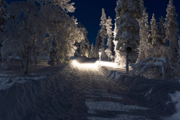 istock A night landscape in Lapland 1216601446