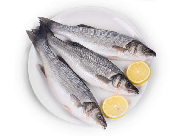 istock Three fresh seabass with slices of a lemon on a plate. 1216602040
