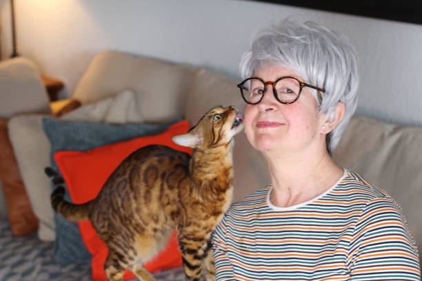 istock Hilarious cat talking to owner 1216610872