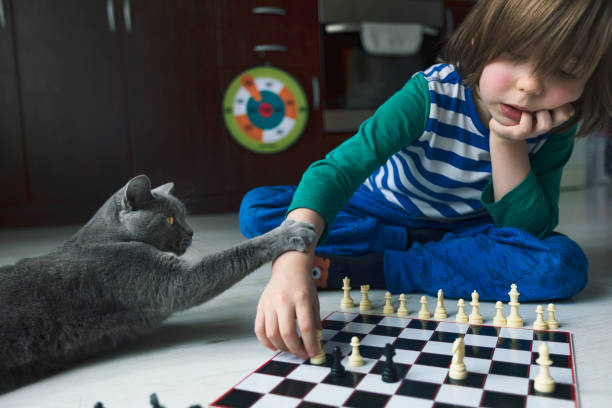 istock Little boy playing chess. Cat next to him. 1216610958