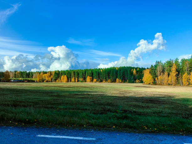 Blue sky with clouds, yellow and green forest in the background.