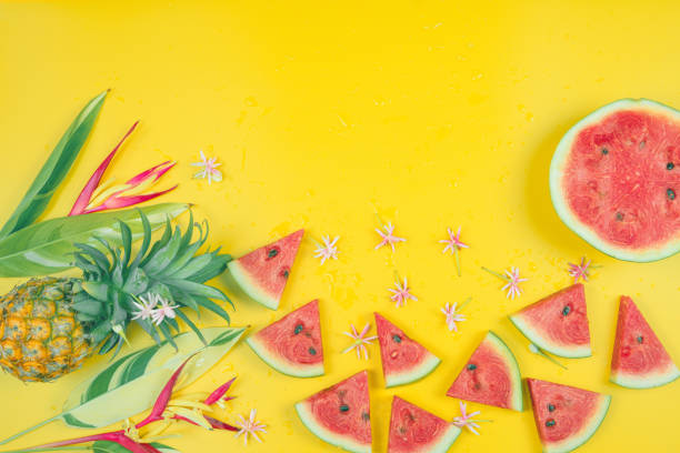istock web banner and minimal flat lay creative design for group of summer fruits with fresh watermelon,pine apple and heliconia tropical flower on pastel color background 1216615178
