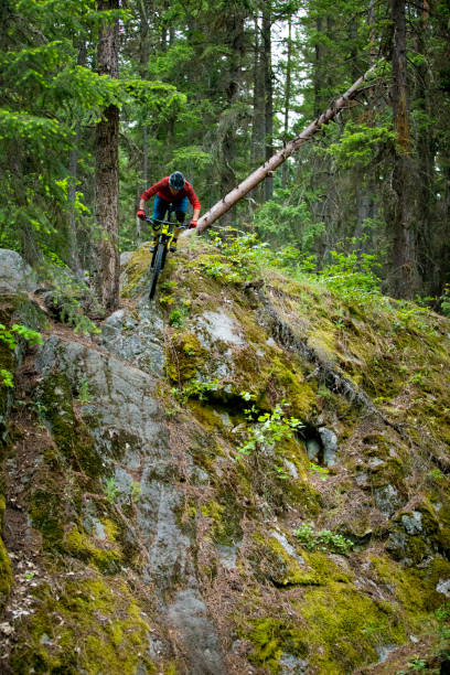 istock Extreme Mountain Bike Trail 1216619028