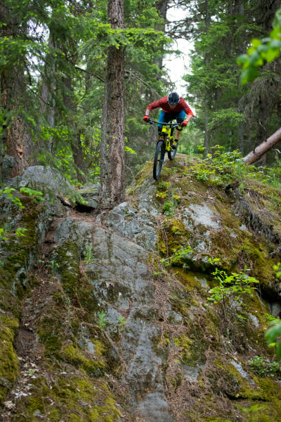 istock Steep Downhill Mountain Bike Trail 1216619075