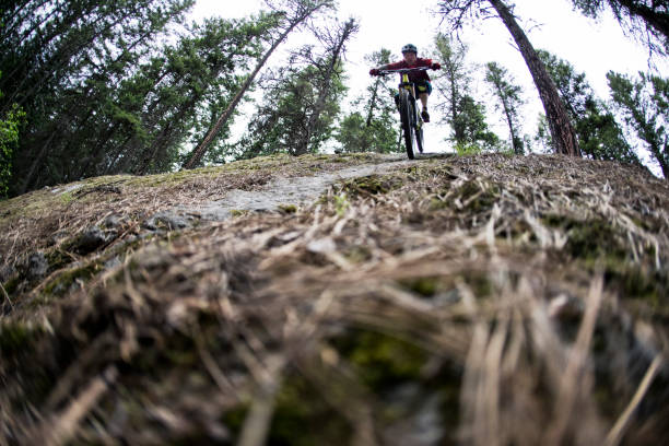 istock Steep Downhill Mountain Bike Trail 1216619078