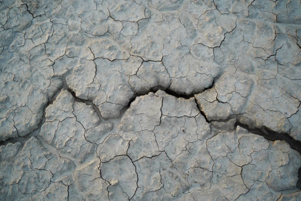 A crack runs through the desert playa. stock photo
