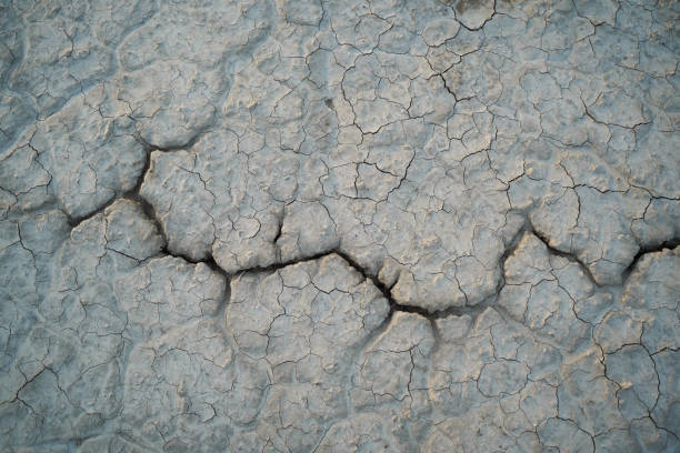 Close up of a crack running through a desert playa. stock photo
