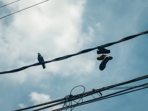 Photo of Shoes hanging on a wire.