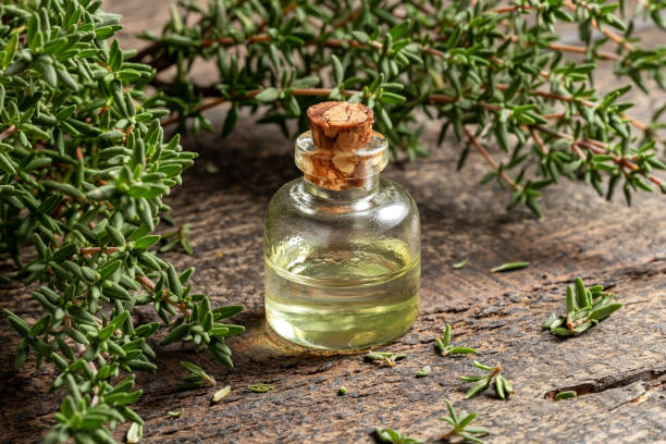 istock A transparent bottle of essential oil with fresh thyme 1216626489