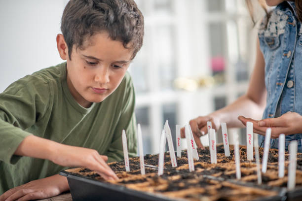 Three siblings plant an indoor garden.